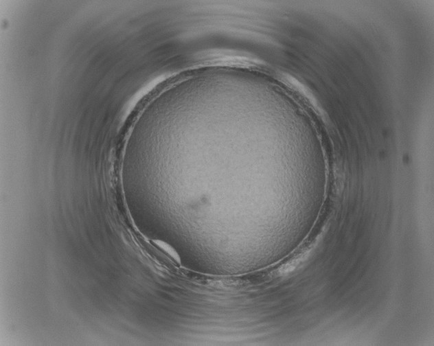 X0000084050875200703022212