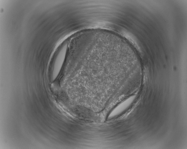 X0000084050876200703022212