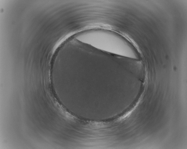 X0000084050877200703022212