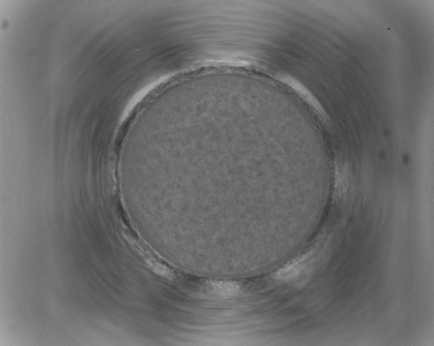 X0000084050878200703022212