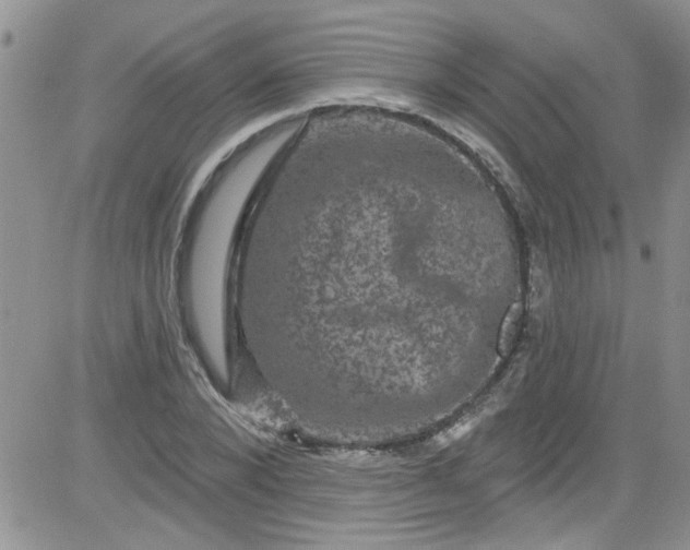 X0000084050880200703022212