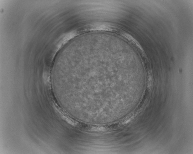 X0000084050882200703022212