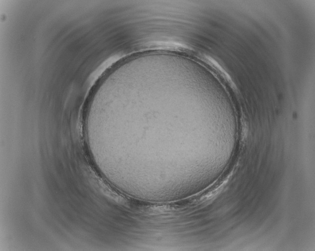 X0000084050883200703022212