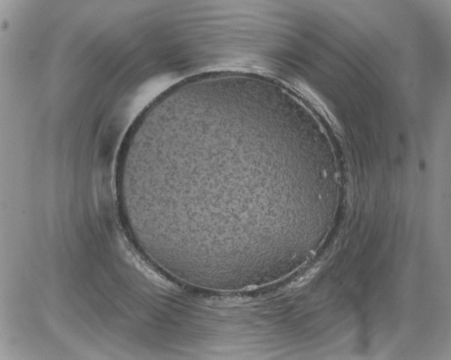 X0000084050884200703022212