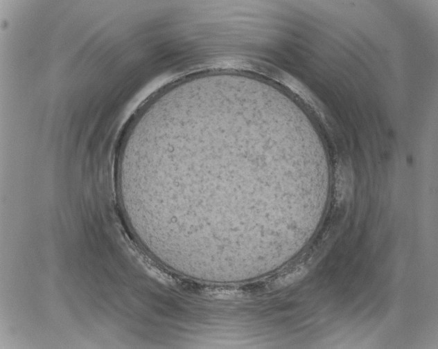 X0000084050886200703022212