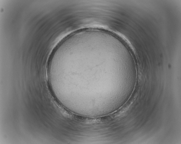 X0000084050887200703022212