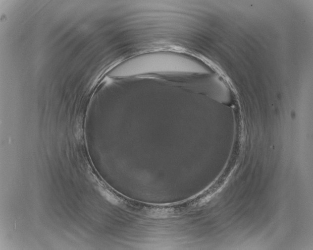 X0000084050889200703022212