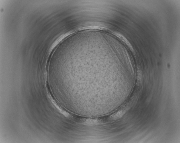 X0000084050890200703022212