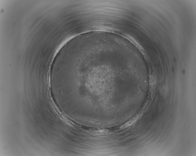 X0000084050891200703022212