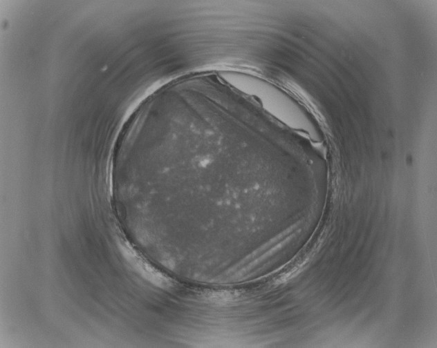 X0000084050892200703022212