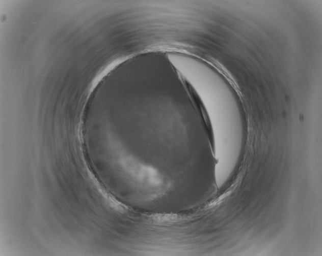 X0000084050893200703022212