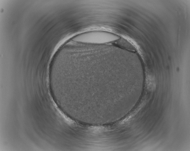 X0000084050894200703022212