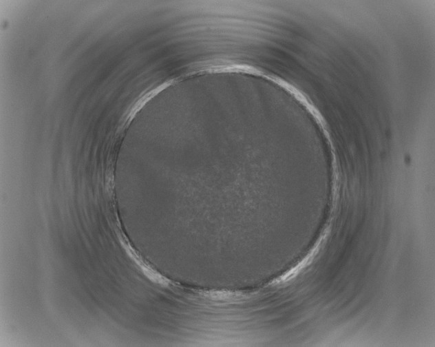 X0000084050897200703022212