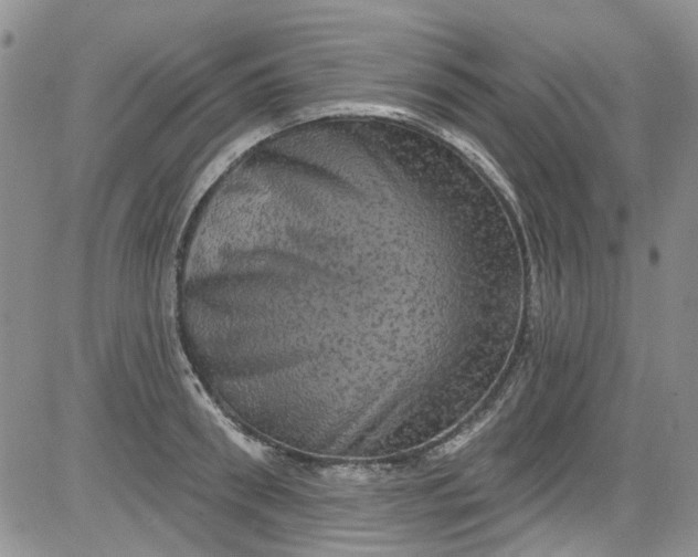 X0000084050898200703022212