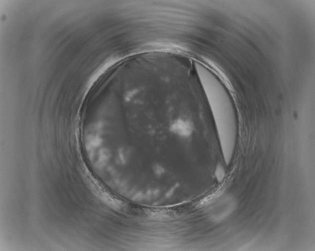 X0000084050899200703022212