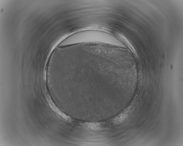 X0000084050900200703022211