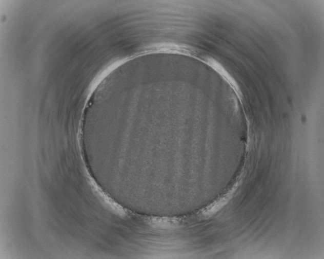 X0000084050901200703022211