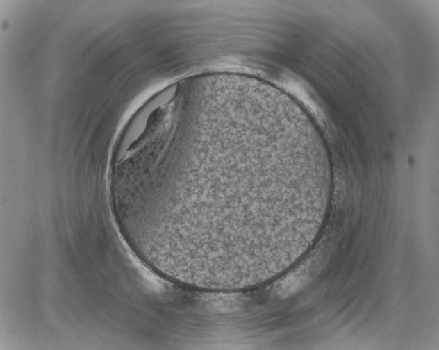 X0000084050902200703022211