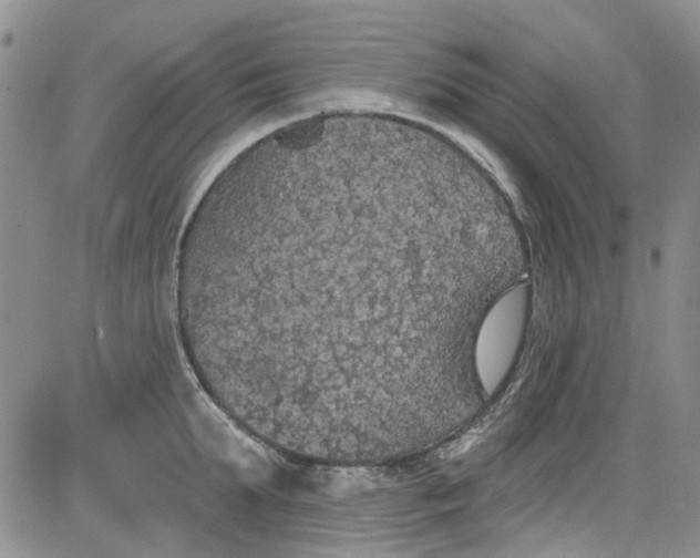 X0000084050903200703022211