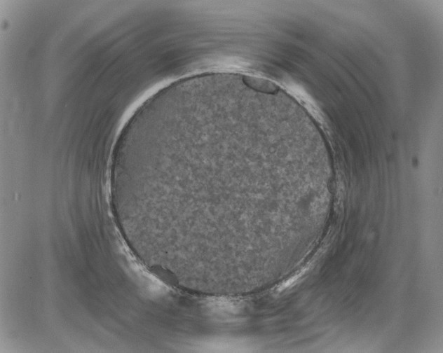 X0000084050904200703022211