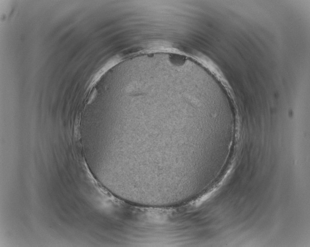 X0000084050905200703022211