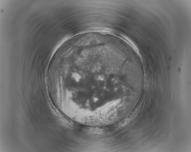 X0000084050907200703022211