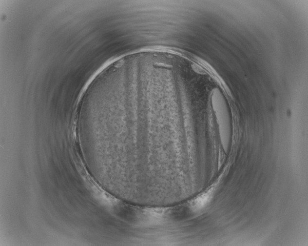 X0000084050908200703022211