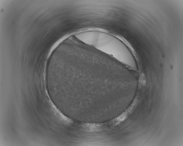 X0000084050910200703022211