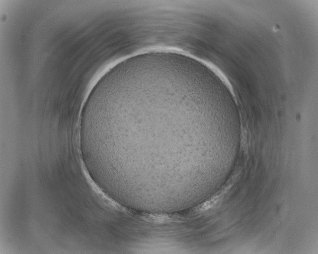 X0000084050911200703022211