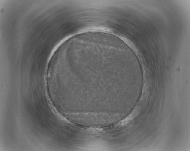 X0000084050912200703022211