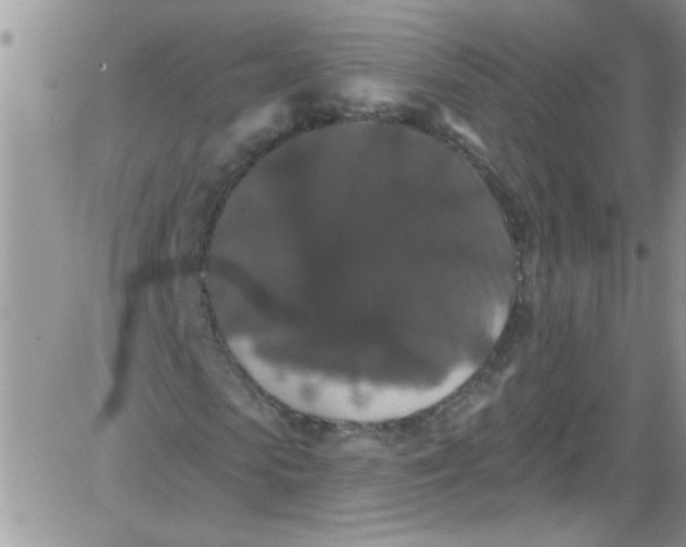 X0000084050913200703022210