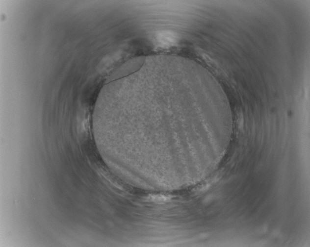 X0000084050914200703022211