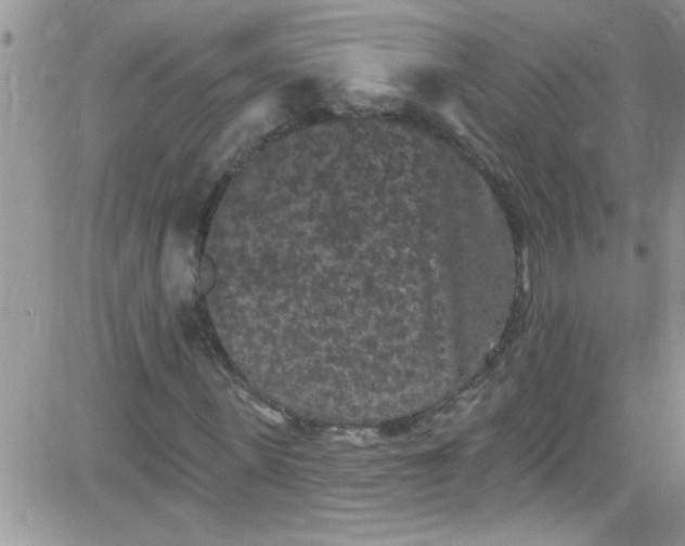 X0000084050915200703022211