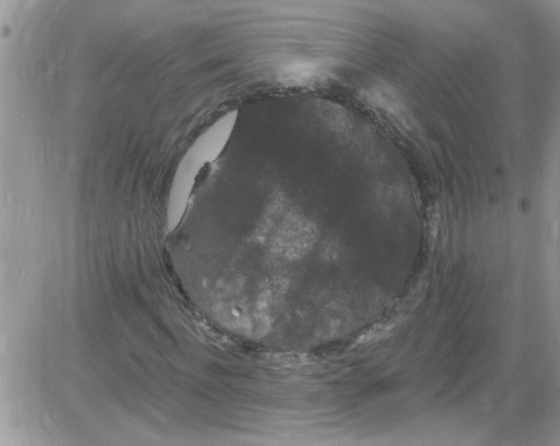 X0000084050916200703022211