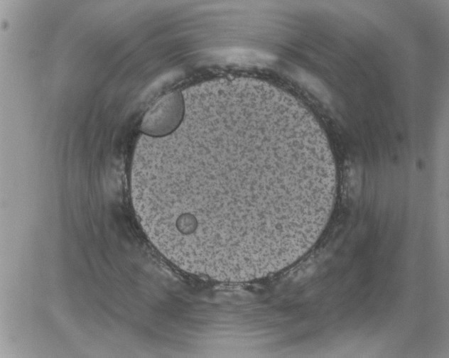 X0000084050918200703022211