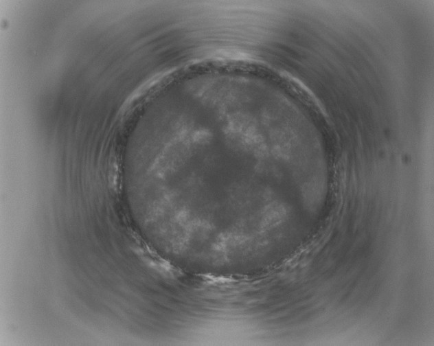 X0000084050919200703022211