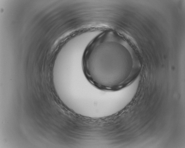 X0000084050920200703022211