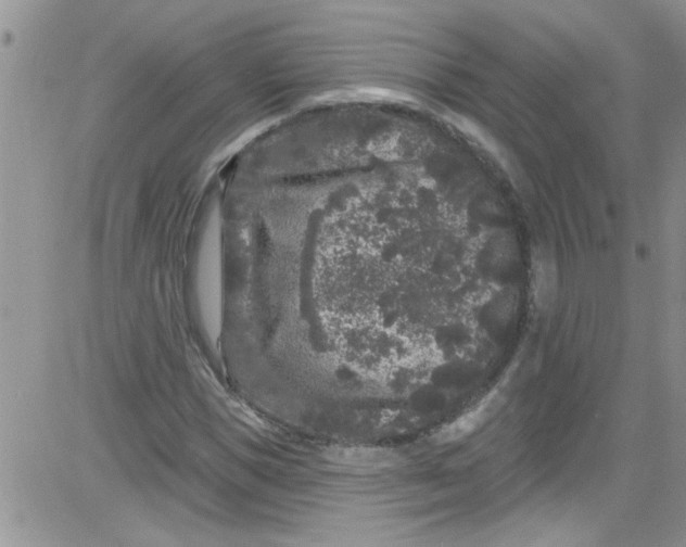 X0000084050921200703022211