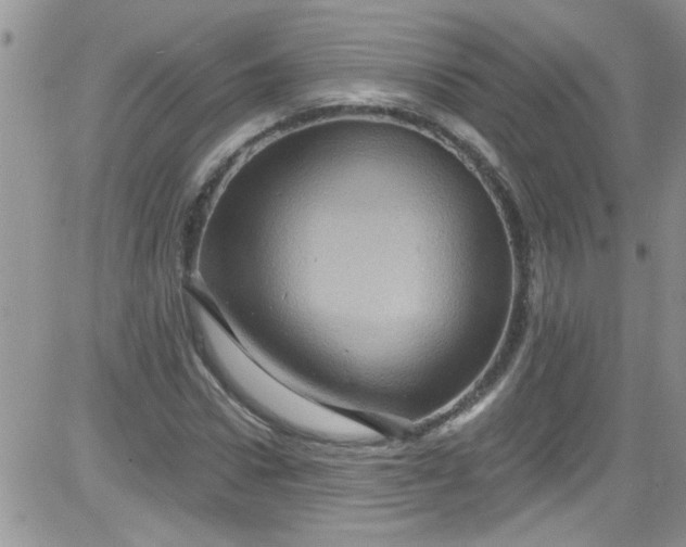 X0000084050922200703022211