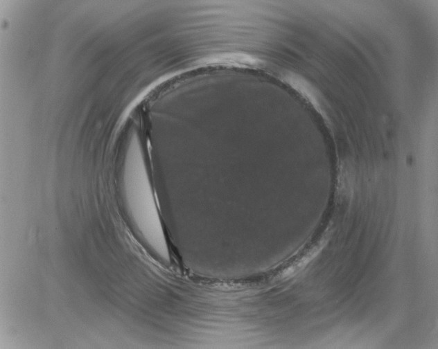 X0000084050923200703022211