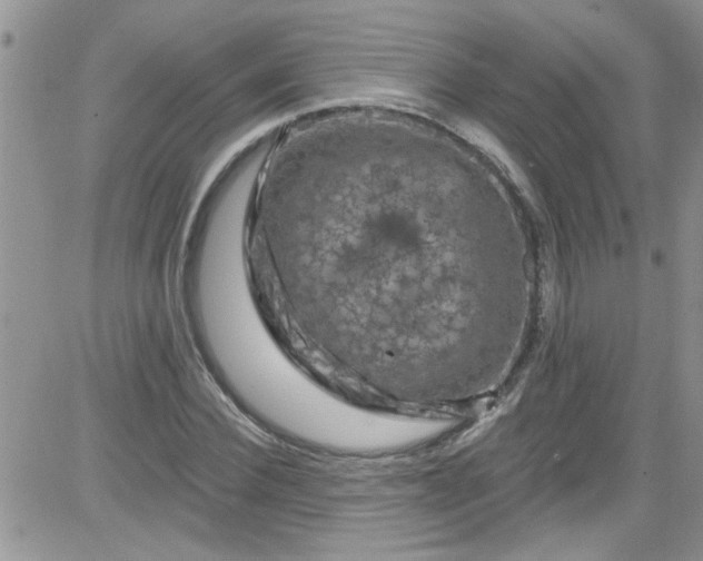 X0000084050924200703022211