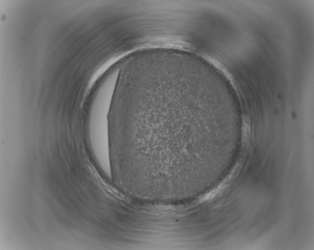 X0000084050925200703022211