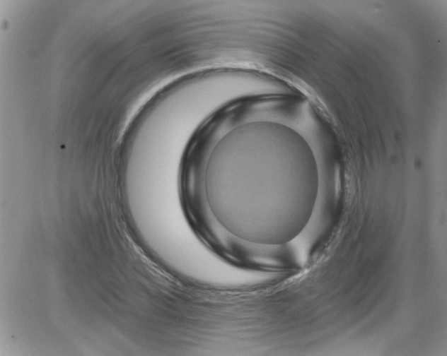 X0000084050926200703022211