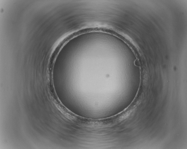 X0000084050927200703022211