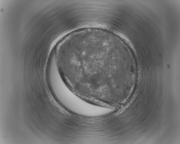 X0000084050928200703022211