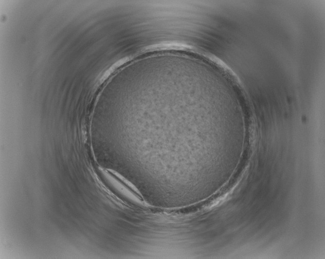 X0000084050929200703022211