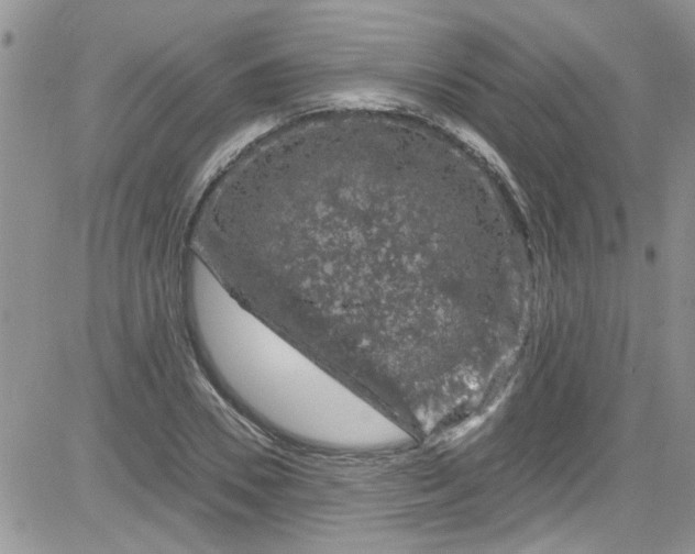 X0000084050930200703022211