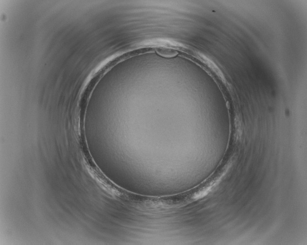 X0000084050931200703022211