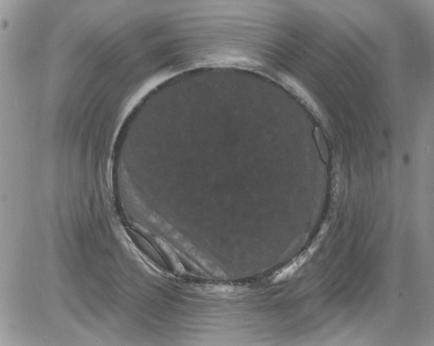 X0000084050932200703022211