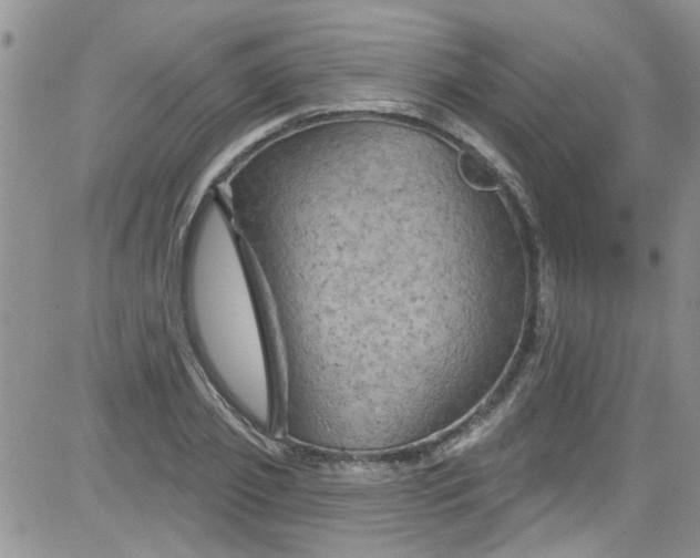 X0000084050933200703022211